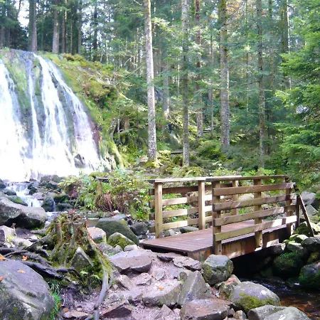 Au Tholy Avec Piscine Partagee * לה טולי