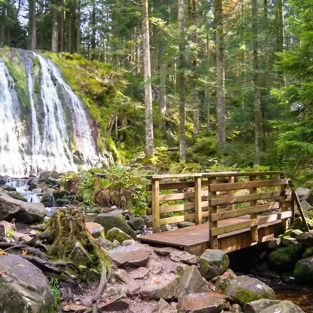 Horská chata Au Tholy Avec Piscine Partagee Le Tholy