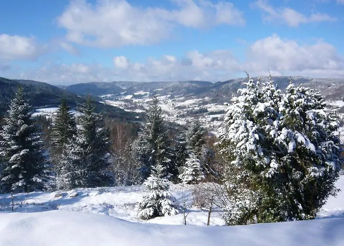 木屋 Au Tholy Avec Piscine Partagee *