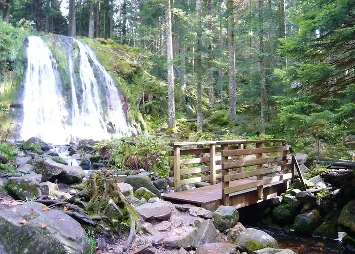 Au Tholy Avec Piscine Partagee * 勒索里