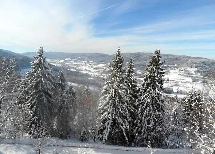 Au Tholy Avec Piscine Partagee 木屋 *