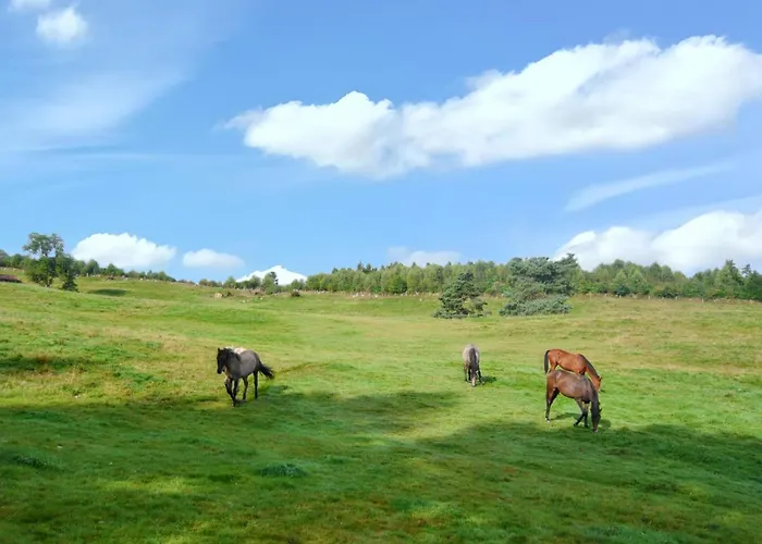 木屋 Au Tholy Avec Piscine Partagee